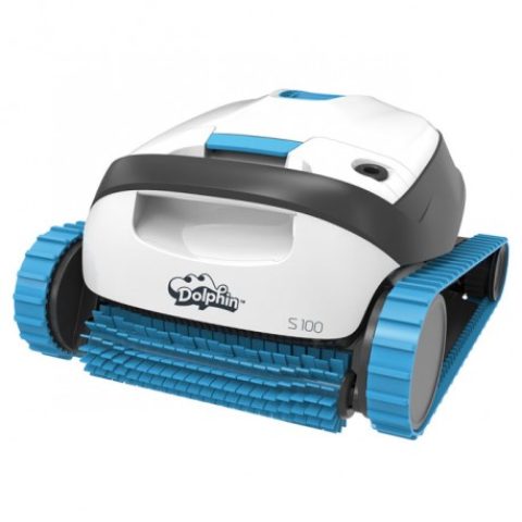DOLPHIN-S100